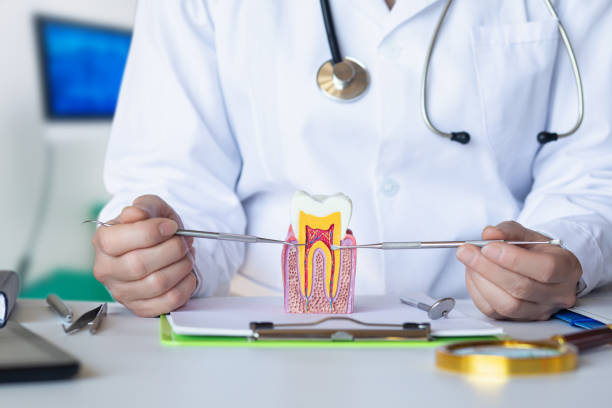 Best Emergency Denture Repair in Combined Locks, WI